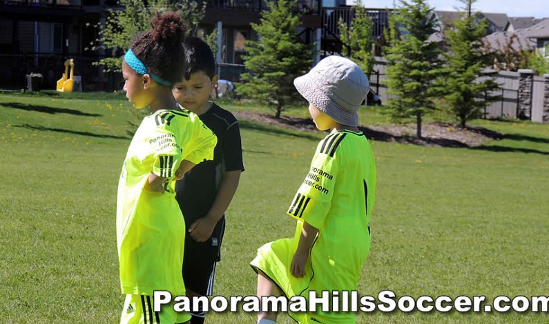 Panorama Hills Soccer camp started: NW Timbits / Soccer Stars camp