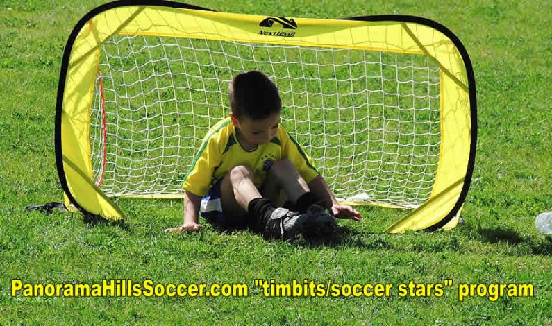 Panorama Hills timbits/soccer stars program update