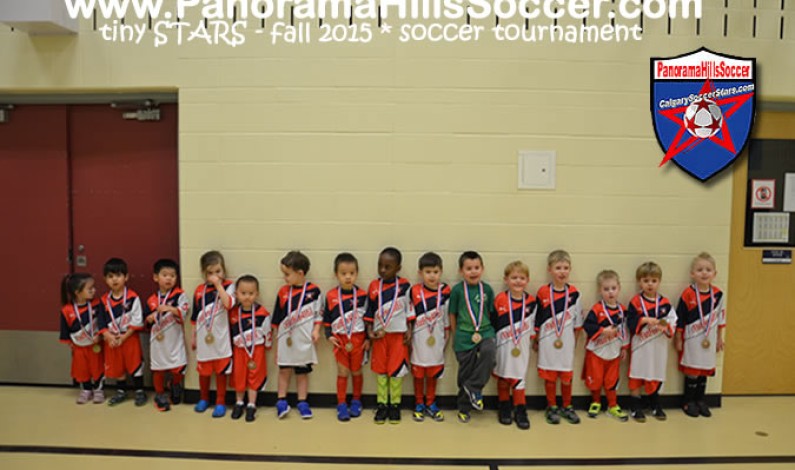 Tiny Stars * 2015 FALL soccer tournament *
