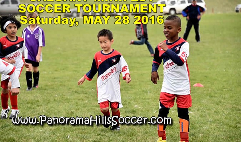 MINIFEST SCHEDULE -SATURDAY, MAY 28 2016 MINIFEST SCHEDULE -SATURDAY, MAY 28 2016