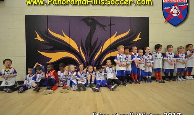 2017 Winter soccer tournament – tiny stars 2017 Winter soccer tournament – tiny stars