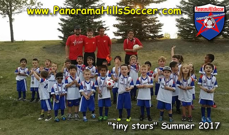 2017 SUMMER soccer tournament – tiny stars
