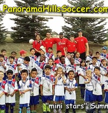 2017 Summer Soccer tournament – mini stars