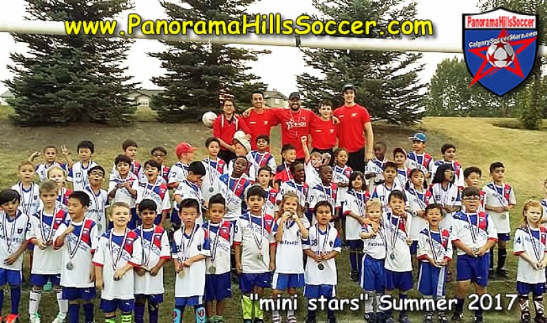 2017 Summer Soccer tournament – mini stars 2017 Summer Soccer tournament – mini stars