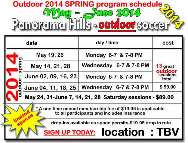 outdoor-soccer-camps-nw-panorama-indoor-soccer-kids-2014-academy-timbits-mini-stars
