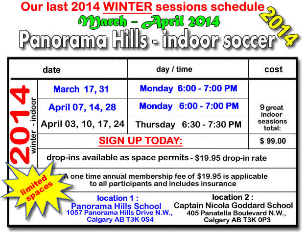 time-and-cost-panorama-indoor-soccer-kids-2014-academy-timbits-mini-stars