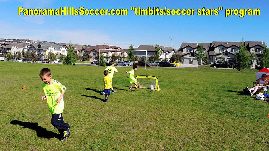 panorama-hills-soccer-camp-timbits-soccer-stars-23