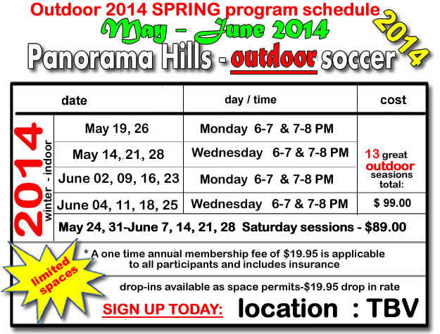 time-and-cost-panorama-indoor-soccer-kids-2014-academy-timbits-mini-stars