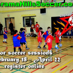 timbits-panorama-hills-soccer-indoor-timbits-2014