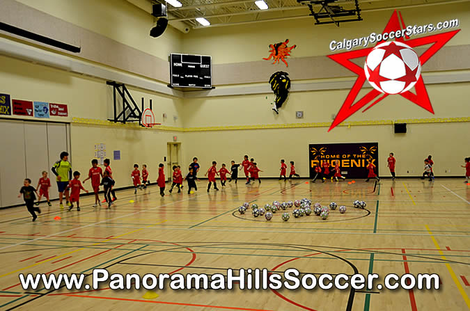 panorama-hills-soccer-stars-timbits-camp-2014-05