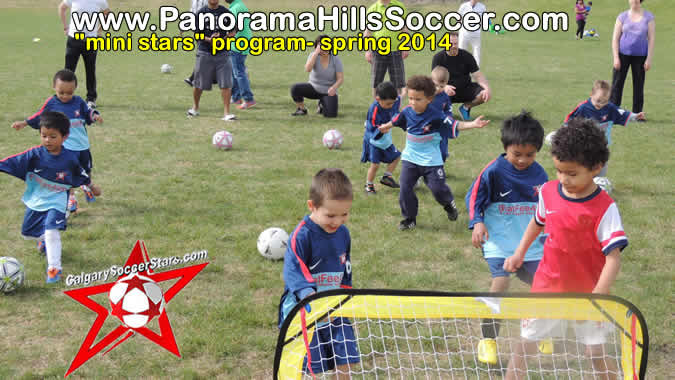 panorama-hills-soccer-stars-timbits-2014-01