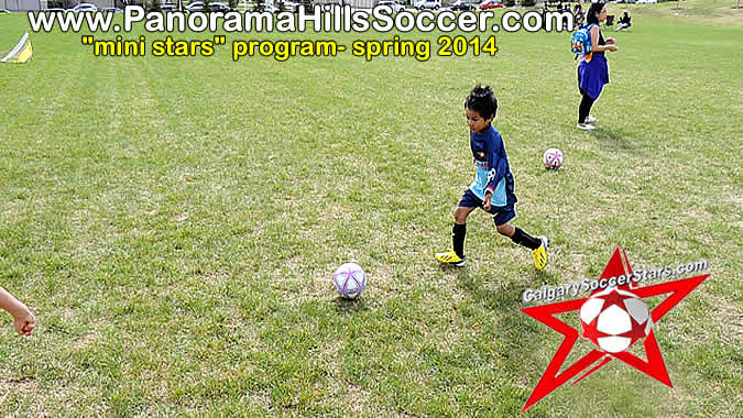 panorama-hills-soccer-stars-timbits-2014-02