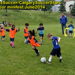 panorama-hills-calgary-soccer-stars-outdoor-soccer-tournamnet-timbits-08