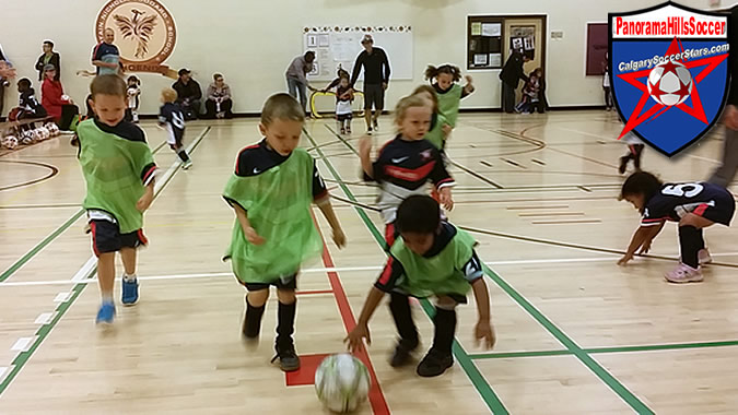 panorama-hills-soccer-calgary-soccer-stars-indoor-soccer-for-kids-02