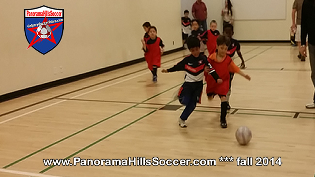 panorama-hills-soccer-indoor-soccer-for-kids-04