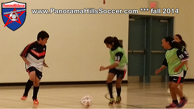 panorama-hills-soccer-indoor-soccer-for-kids-16