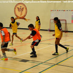 panorama-hills-soccer-timbits-nw-calgary-soccer-stars-