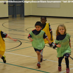 panorama-hills-soccer-timbits-nw-calgary-soccer-stars-