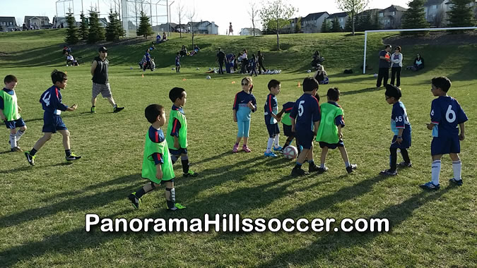panorama-hills-outdoor-soccer-timbits-nw