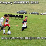 calgary soccer stars minifest