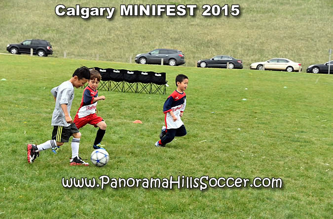 calgary soccer stars minifest