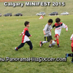 calgary soccer stars minifest