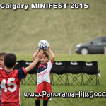 calgary soccer stars minifest