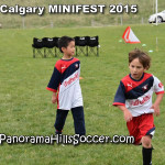 calgary soccer stars minifest