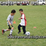 calgary soccer stars minifest