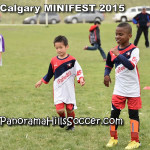 calgary soccer stars minifest