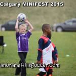 calgary soccer stars minifest