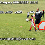 calgary soccer stars minifest