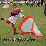 calgary soccer stars minifest