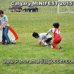 calgary soccer stars minifest