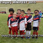 calgary soccer stars minifest