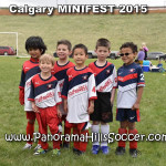 calgary soccer stars minifest