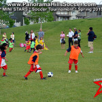 mini stars panorama hills soccer tournament for kids