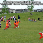 mini stars panorama hills soccer tournament for kids