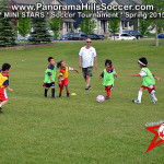 mini stars panorama hills soccer tournament for kids