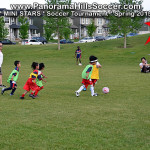 mini stars panorama hills soccer tournament for kids