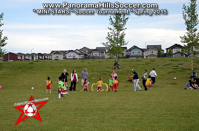 mini stars panorama hills soccer tournament for kids