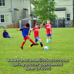 mini stars panorama hills soccer tournament for kids