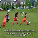 mini stars panorama hills soccer tournament for kids