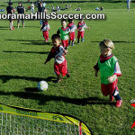 panorama-hills-soccer-tournament-timbits-tiny-stars