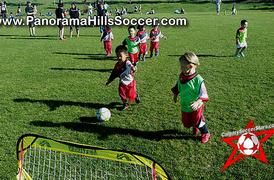 panorama-hills-soccer-tournament-timbits-tiny-stars