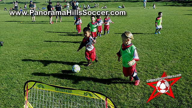 panorama-hills-soccer-for-kids-timbits-09