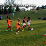 panorama-hills-soccer-tournament-timbits-tiny-stars