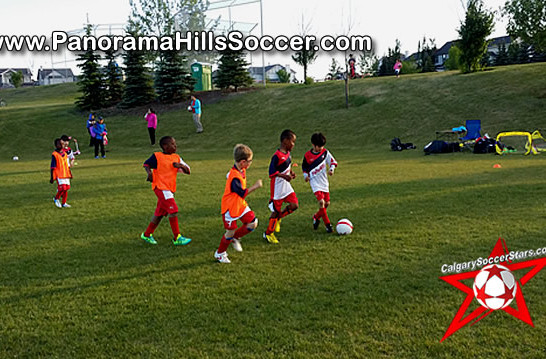 panorama-hills-soccer-tournament-timbits-tiny-stars