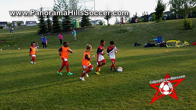 panorama-hills-soccer-for-kids-timbits-12