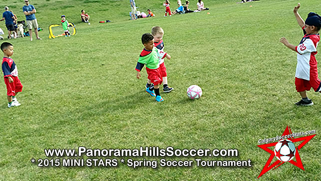 panorama-hills-soccer-tournament-timbits-tiny-stars-01